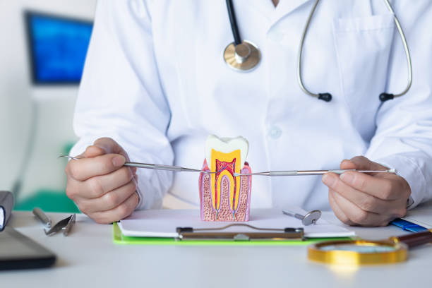 Best Emergency Dental Extractions in Dunbar, SC